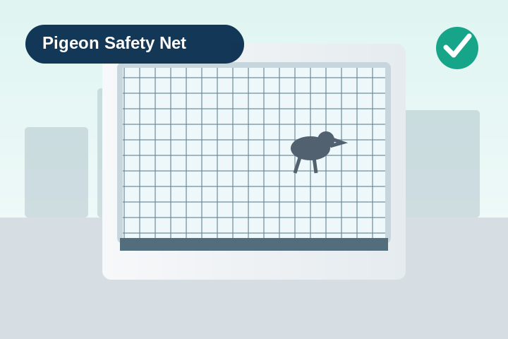 Pigeon Safety Net service in Jaipur